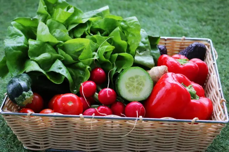alimentation-marathon