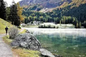 Pour s'entraîner en trail, combien de D+ faut-il faire par semaine?